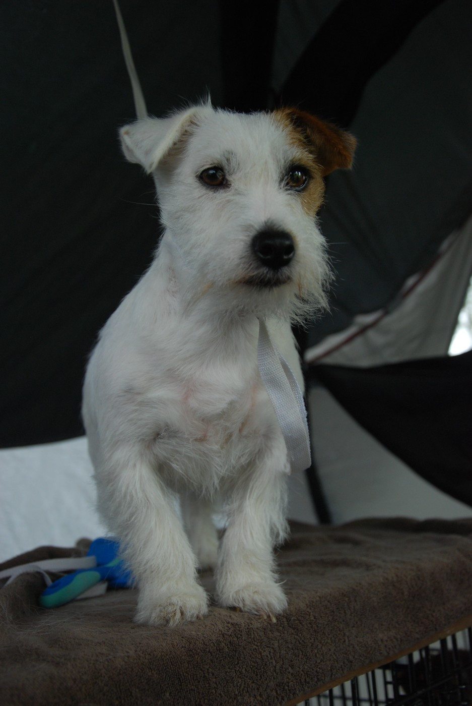 mon chéri jack Saharochek yoga